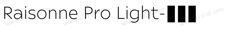 Raisonne Pro Light字体转换
